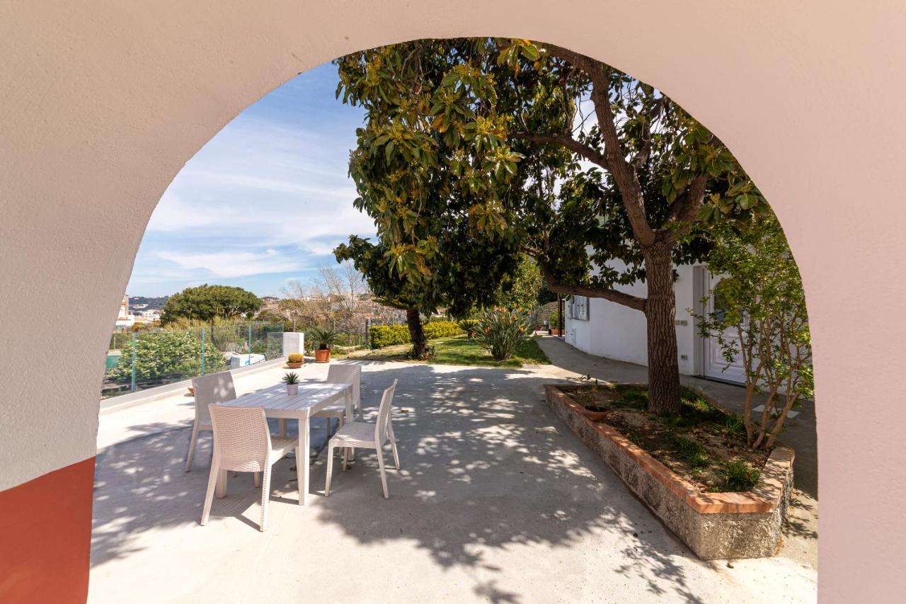 Casa Degli Aranci Villa Forio di Ischia Dış mekan fotoğraf