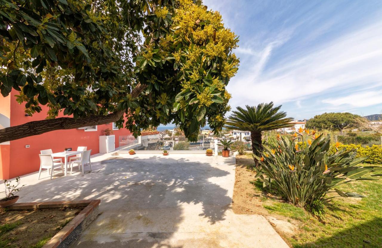 Casa Degli Aranci Villa Forio di Ischia Dış mekan fotoğraf