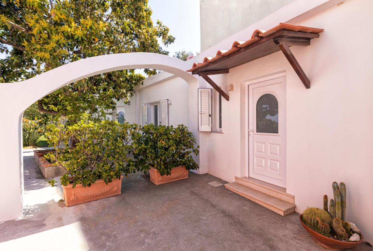 Casa Degli Aranci Villa Forio di Ischia Dış mekan fotoğraf